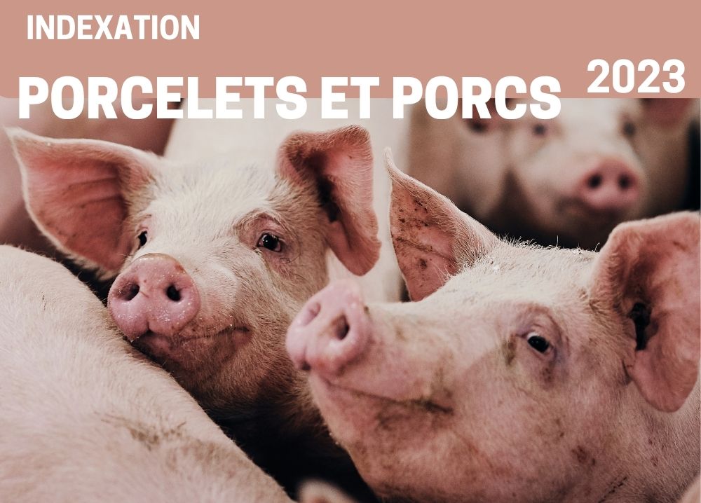 Informations complémentaires : INDEXATION 2023 - PORCELETS ET PORCS